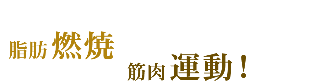 脂肪燃焼！×筋肉運動！