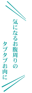気になるお腹まわりの