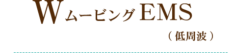 WムービングEMS(低周波)