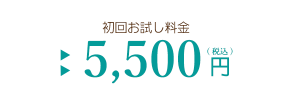 料金