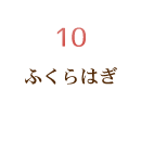 ふくらはぎ